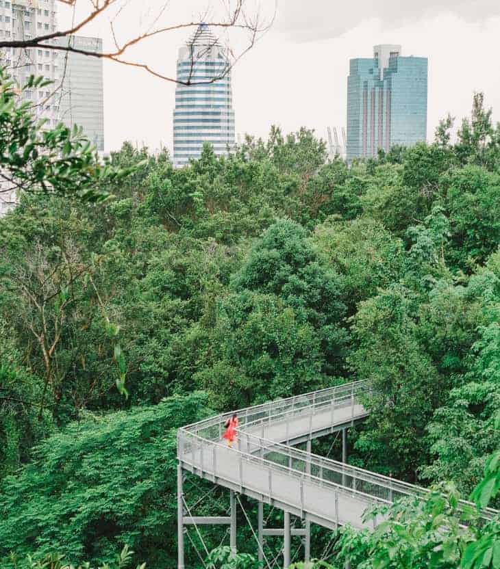 Southern Ridges: ทางเดินกินลมชมสีเขียวลอยฟ้าที่เชื่อมต่อ 3 สวนยักษ์ใหญ่ในสิงคโปร์