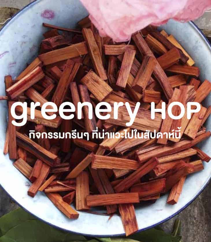 Greenery Hop: สาดน้ำสงกรานต์ให้เย็นกาย แล้วมาเย็นใจกันต่อกับกิจกรรมกรีนช่วง 13 – 19 เมษายน