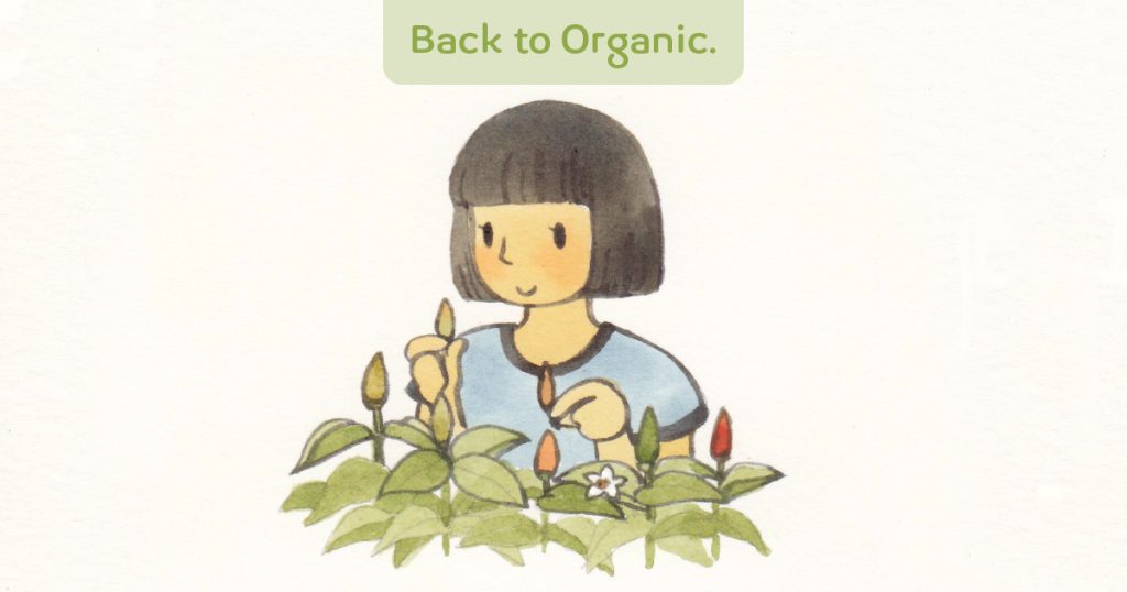 back to organic: อร่อยเด็ด เพราะเด็ดจากต้น