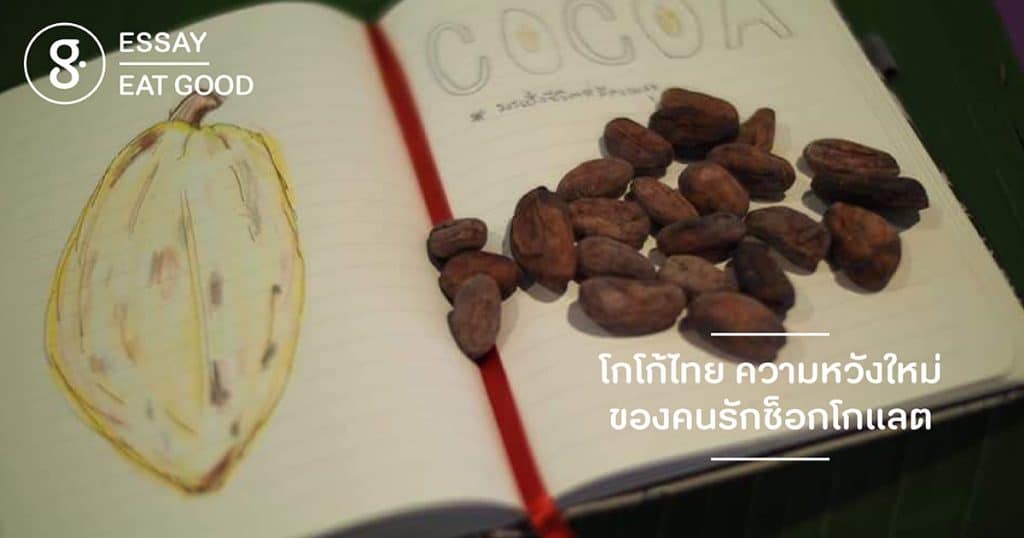 โกโก้ไทย ความหวังใหม่ของคนรักช็อกโกแลต