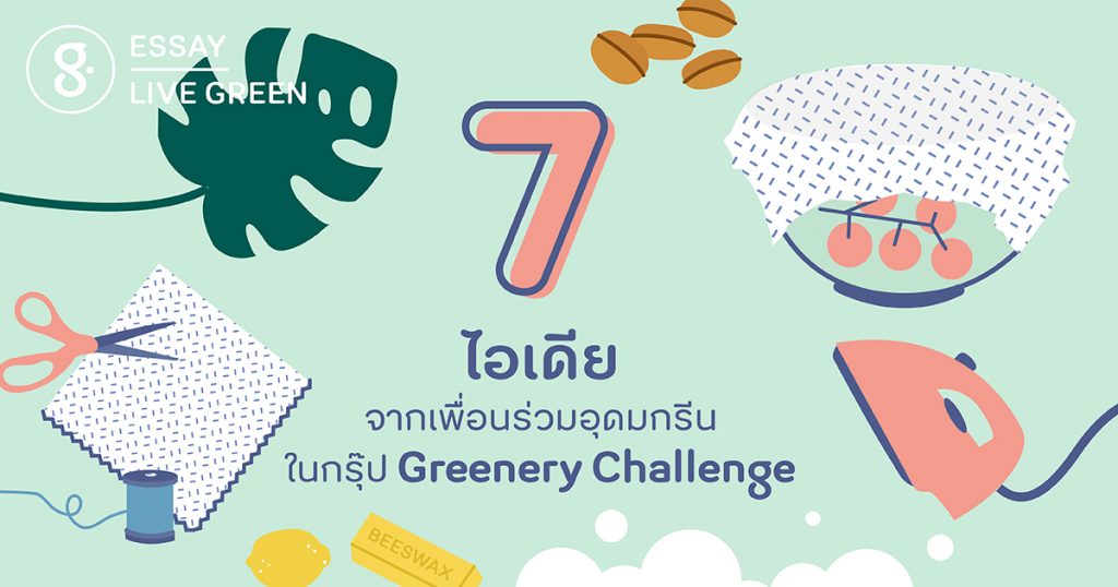 7 ไอเดียจากเพื่อนร่วมอุดมกรีน ในกรุ๊ป Greenery Challenge