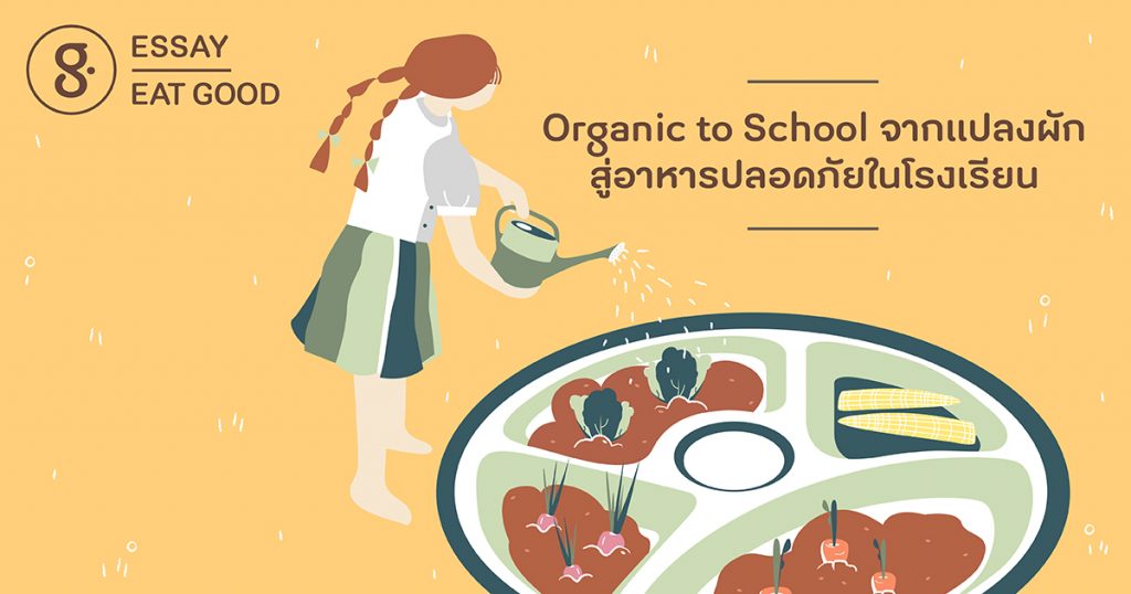 Organic to School จากแปลงผักสู่อาหารปลอดภัยในโรงเรียน
