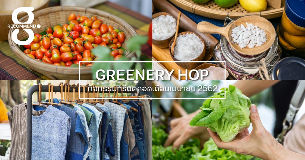 Greenery HOP: ซัมเมอร์นี้ ออกไปเติมความสดชื่นกับพืชผักใหม่ๆ จากสวน นานาผลไม้หน้าร้อน และวัตถุดิบดีๆ ในตลาดอินทรีย์กัน
