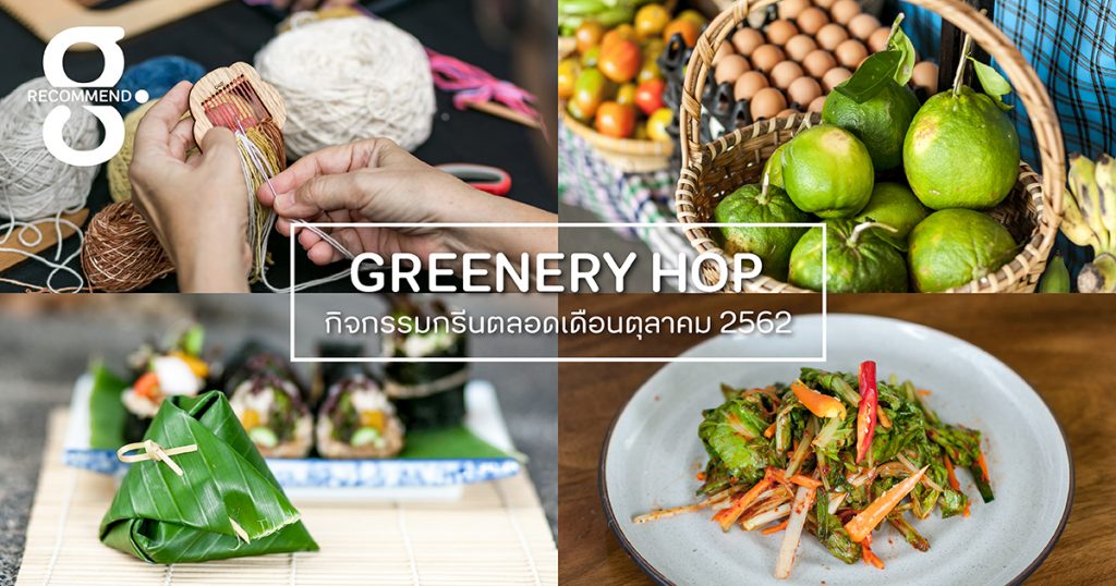 Greenery HOP: มาดูแลสุขภาพให้แข็งแกร่ง บำรุงร่างกายให้แข็งแรงด้วยผักผลไม้อินทรีย์กัน