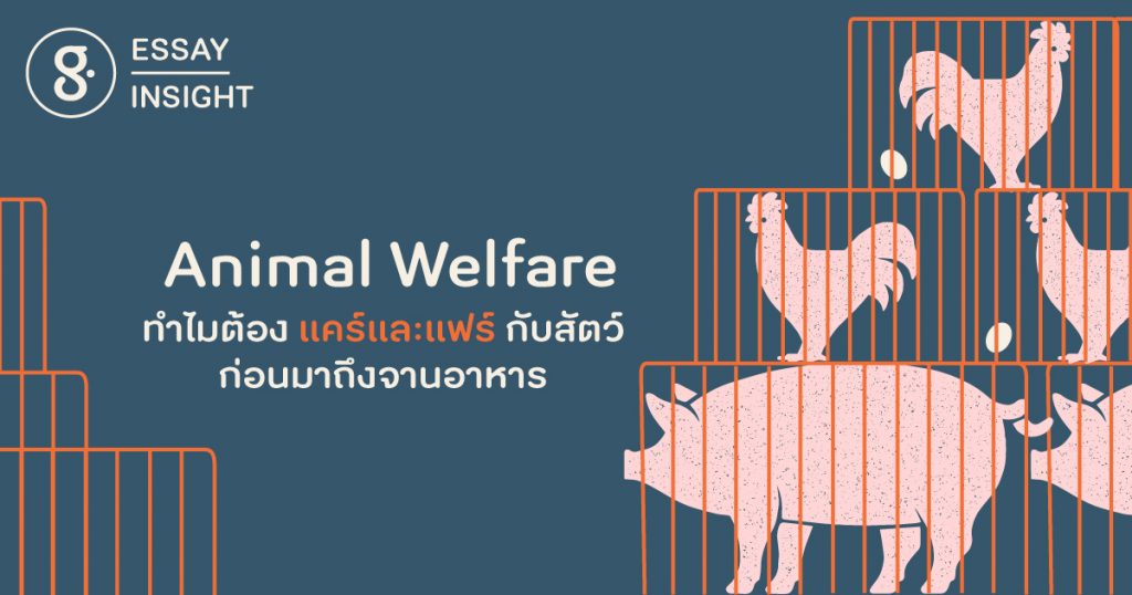 Animal Welfare ทำไมต้องแคร์และแฟร์กับสัตว์ ก่อนมาถึงจานอาหาร