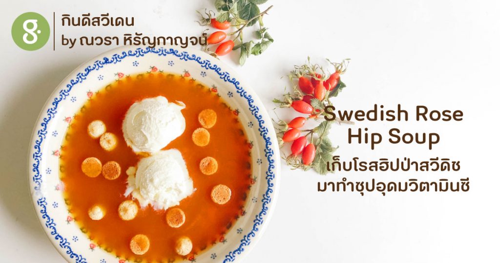 Swedish Rose Hip Soup เก็บโรสฮิปป่าสวีดิชมาทำซุปอุดมวิตามินซี