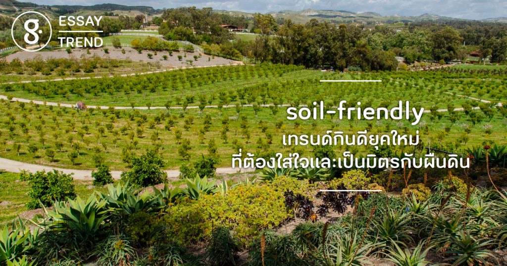 soil-friendly เทรนด์กินดียุคใหม่ที่ต้องใส่ใจและเป็นมิตรกับผืนดิน