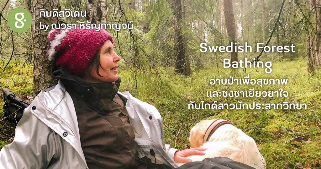 Swedish Forest Bathing อาบป่าเพื่อสุขภาพและชงชาเยียวยาใจ กับไกด์สาวนักประสาทวิทยา 