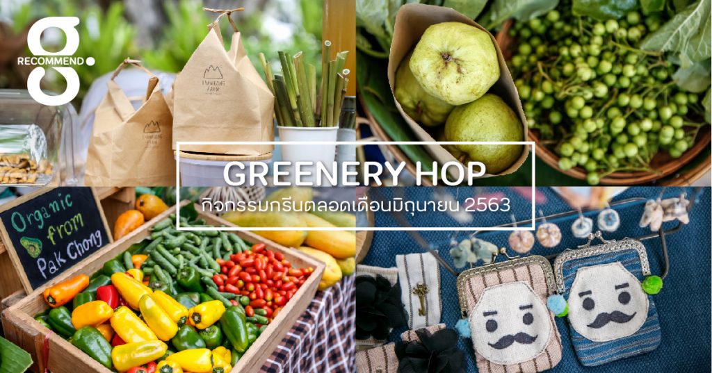 Greenery HOP: เปิดโพยตลาดปลอดภัยช่วงหน้าฝนที่นักช้อปสายกรีนไม่ควรพลาด!