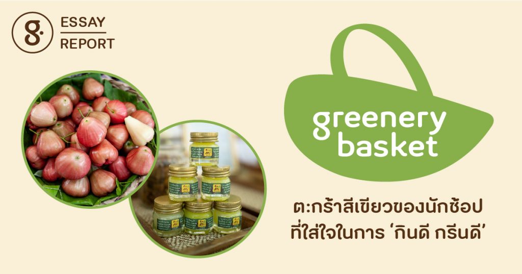 Greenery Basket ตะกร้าสีเขียวของนักช้อปที่ใส่ใจในการ ‘กินดี กรีนดี’