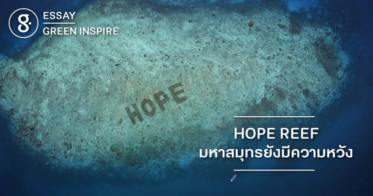 HOPE REEF มหาสมุทรยังมีความหวัง
