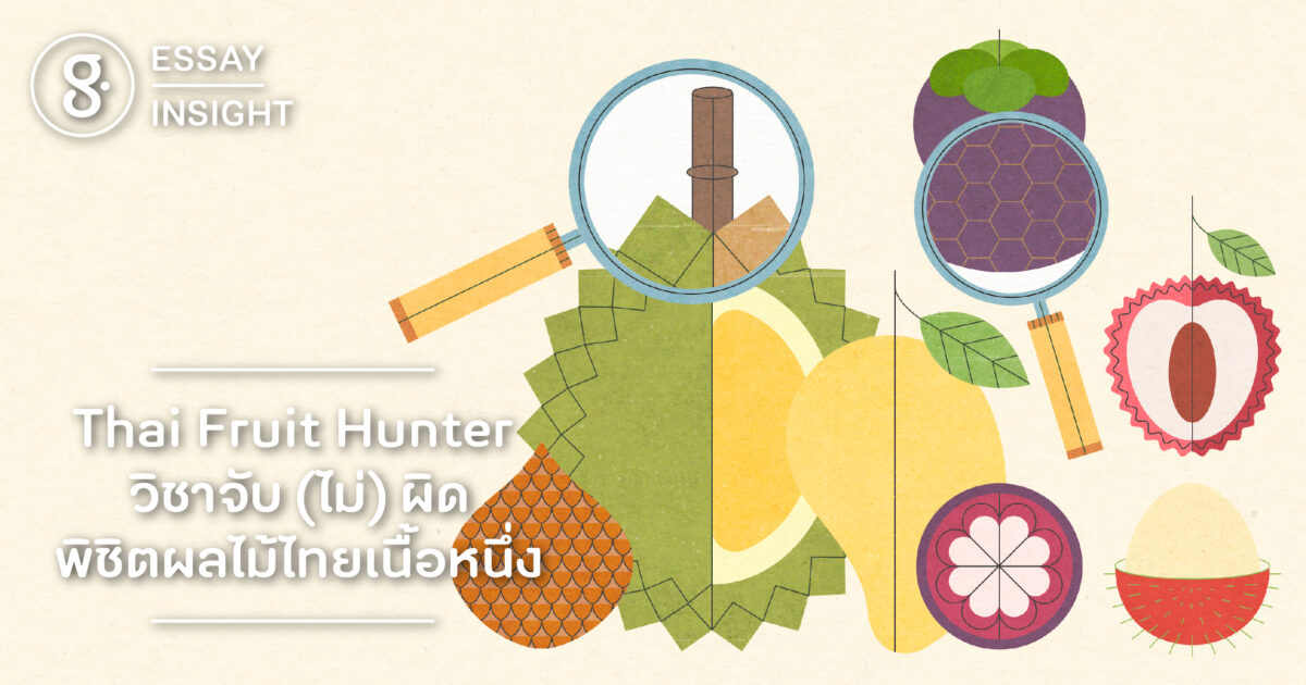 Thai Fruit Hunter วิชาจับ (ไม่) ผิด พิชิตผลไม้ไทยเนื้อหนึ่ง